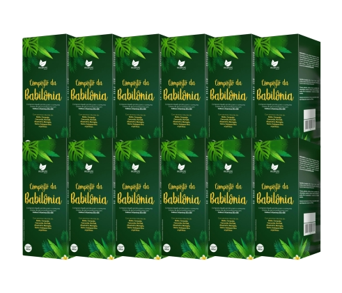 Protocolo para 12 meses